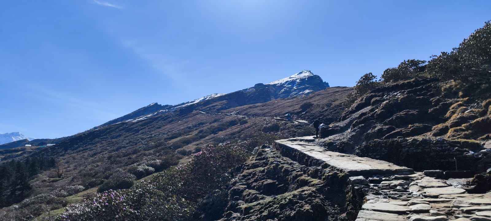 Trek 1 (1)_11zon