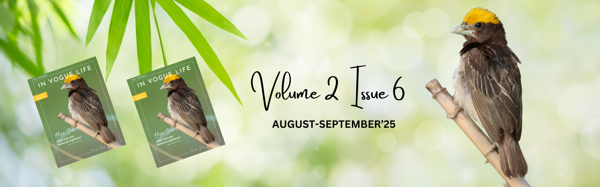 Volume 1 Issue 4 (3)