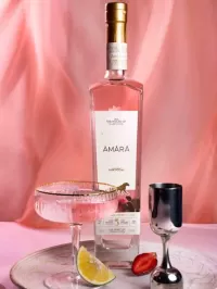 House of Samsara Collaborates with BOMBA Pizzeria & Taqueria for an AMARA Vodka Tasting Experience