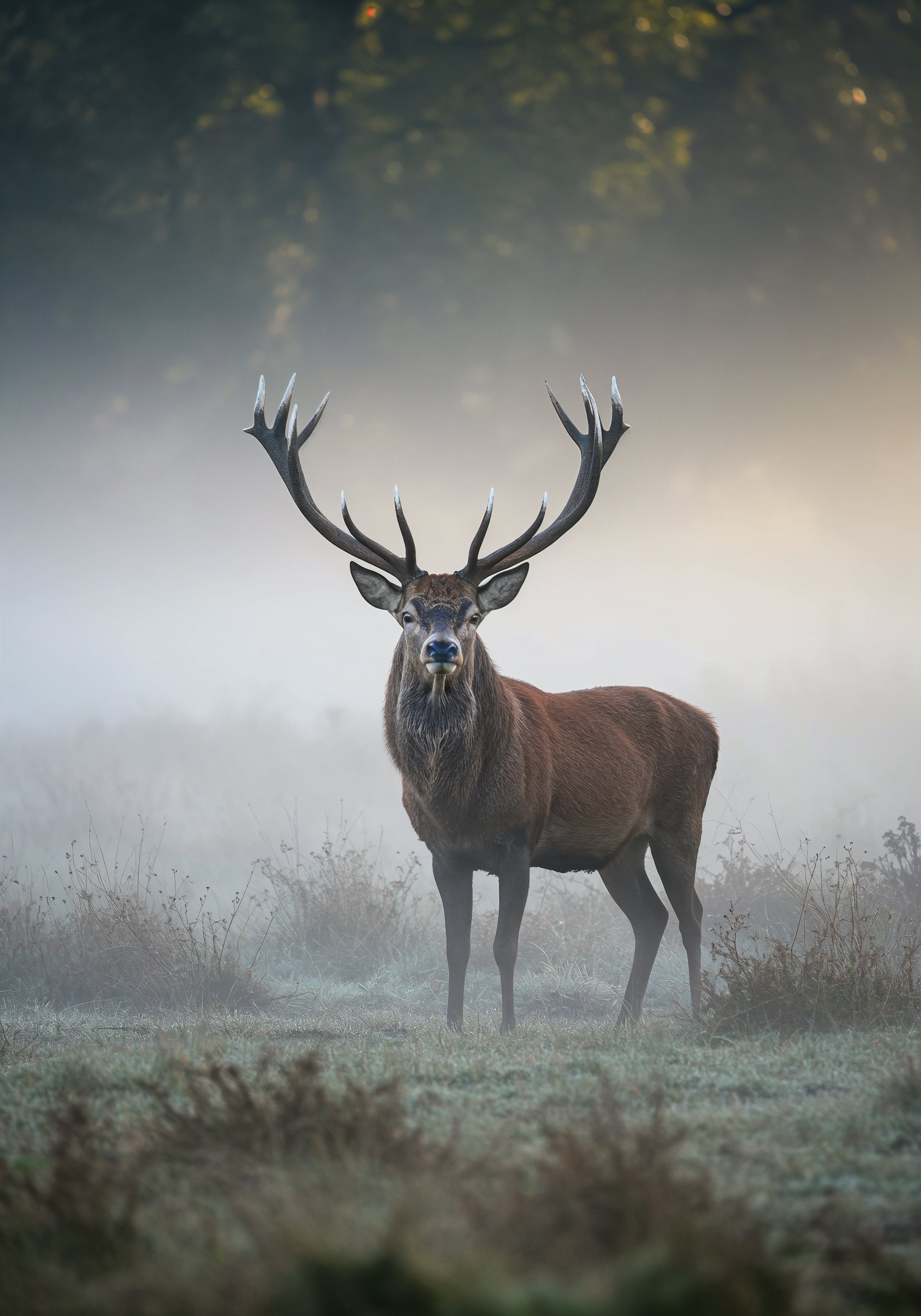 Wildlife photo 3